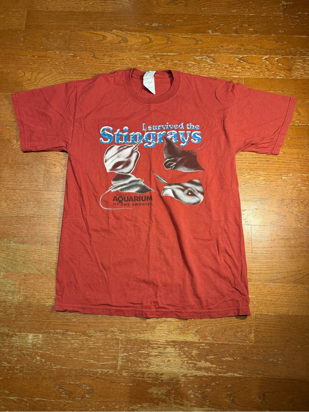 Y2K I Survived the Stingrays Ripleys Aquarium Graphic Tee